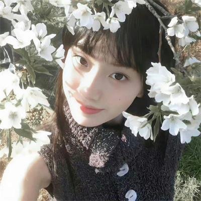 嗜血法医